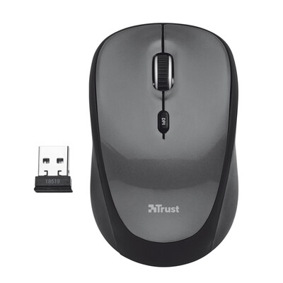 

Burst (Trust) 18519 wireless mouse frosted black