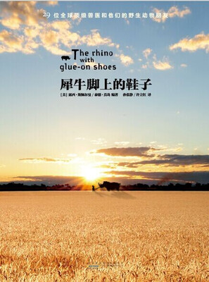 

犀牛脚上的鞋子
