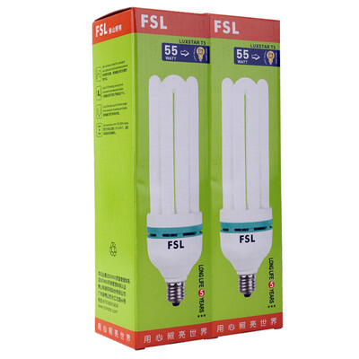 

Foshan lighting T5 energy-saving lamps 4U-55W-E27 on the weather 2 sets