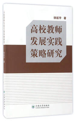 

高校教师发展实践策略研究