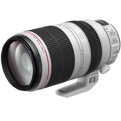 

Canon EF 100-400mm f 45-56L IS II USM telephoto zoom lens