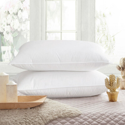 

LANCIER soft cotton pillow