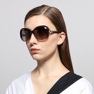 

Subtropical (MICROHOT) polarized sunglasses elegant sunglasses fashion women 8842 through coffee color c3