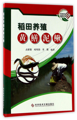 

稻田养殖黄鳝泥鳅