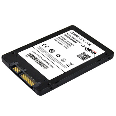 

Gloria (Galaxy) GAMER series 256GB SATA3 solid state hard drive