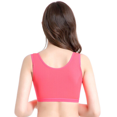 

underwear Comfort Crop sports bra Tops Bustier Tank Ultra-thin Wireless Bras for Women Ladies Wirefree Bra Push Up Bras