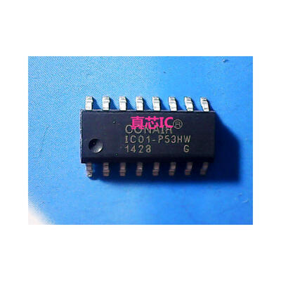 

IC01-P53HW
