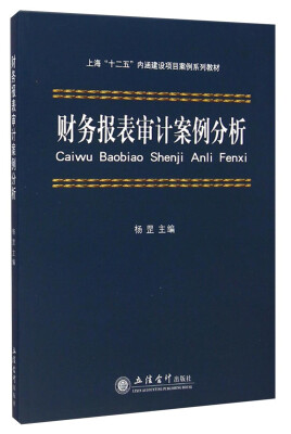 

财务报表审计案例分析/上海“十二五”内涵建设项目安全系列教材