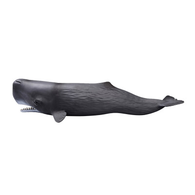 

Schlech Schleich German brand toys hand-painted color marine wildlife simulation animal model children's puzzle early childhood teaching aids - sperm whale SCHC14764