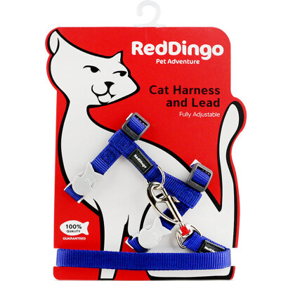 

Ruiding dog (RedDingo) into the cat neckband net color 12mm orange