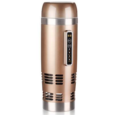 

Taicheng TAI CHENG Car Electric Cup Heating Cup Hot&Cold Cup Kettle 12V Travel 100 Degree Stainless Steel B06 Champagne