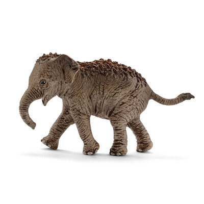 

Сила Schleich немецкого бренд детских игрушек ручной работы цвета краска живая природа животная модель имитация - маленькие азиатские слоны (старые и новые смешанные волосы) SCHC14755