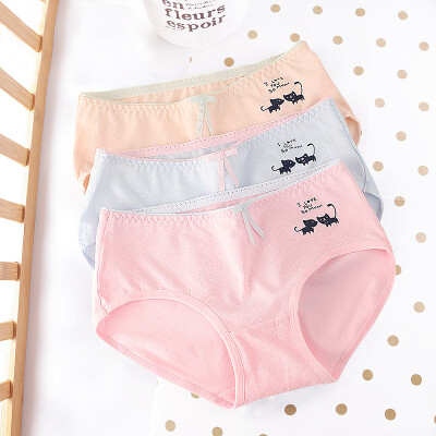 

Hongdou 3 pack women cotton Panties