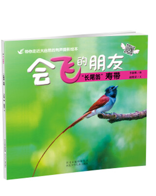 

长尾翁寿带-会飞的朋友