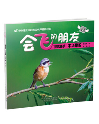 

建筑高手中华攀雀-会飞的朋友