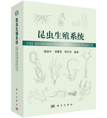 

昆虫生殖系统