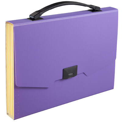 

Coix A4 13 bags ARMOR portable organ bag information package file package A3113 purple