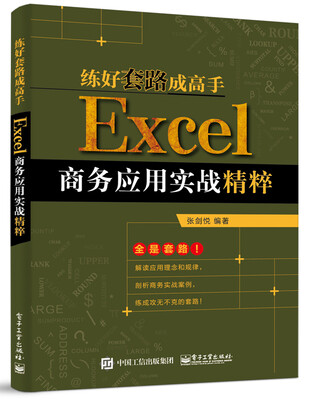 

练好套路成高手：Excel商务应用实战精粹