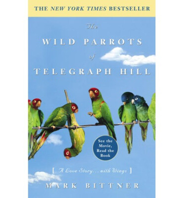 

The Wild Parrots of Telegraph Hill A Love Story