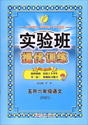 

春雨 2017实验班提优训练：语文（五升六年级 RMJY 暑假衔接版）