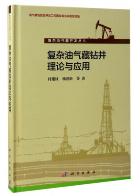 

复杂油气藏开发丛书：复杂油气藏钻井理论与应用