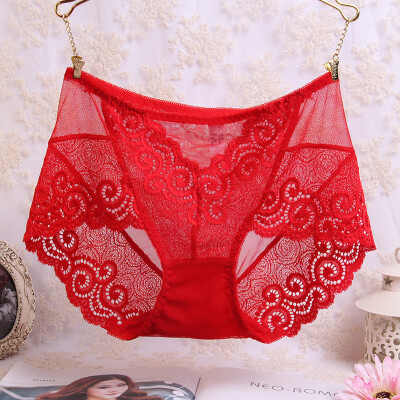 

Women Sexy Panties Lace Seamless king size Underwear Full transparency sexy Hollow taste Pants