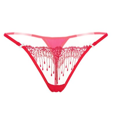 

Sexy Woman Bikini sexy women briefs