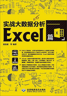 

实战大数据分析：EXCEL篇