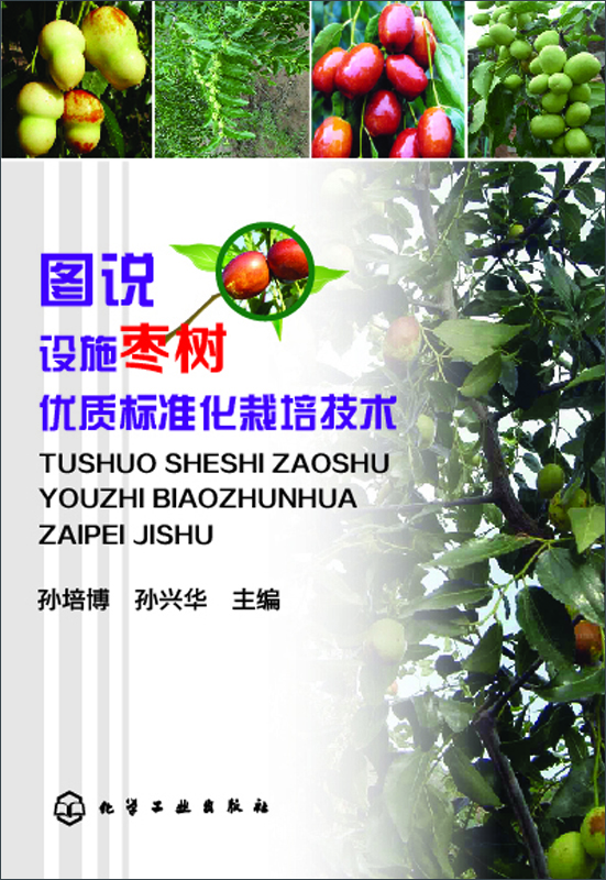

图说设施枣树优质标准化栽培技术