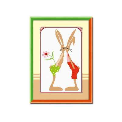 

embroider DIY DMC Cross stitchSets For Embroidery kits Dear rabbit factory direct sale