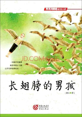 

男孩向前冲系列小说：长翅膀的男孩