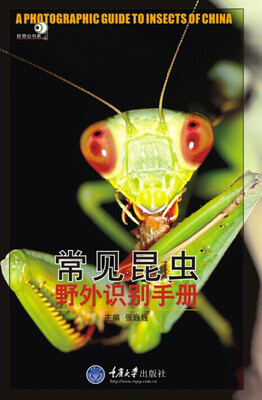 

好奇心书系·野外识别手册常见昆虫野外识别手册