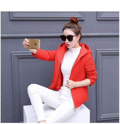 

2017 autumn and winter new students woolen jacket female short section Slim hood thick woolen coat