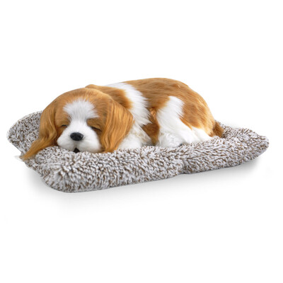 

Plush toys simulation dog & cat Vehicle Decoration Baby Sleeping Appease Doll Kids Birthday Gifts