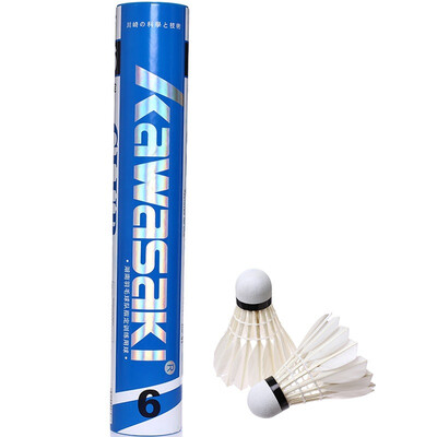 

KAWASAKI Kawasaki Badminton Club Level CLUB 6
