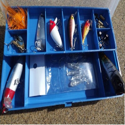 

Дешевые Camino пухлые мягкие насекомые Бобы Lei лягушка кондуктор голову крючок приманки приманки костюм ложной приманки приманки окно