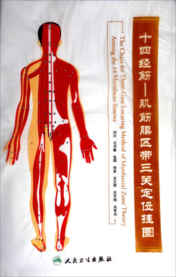 

十四经筋肌筋膜区带三关定位挂图