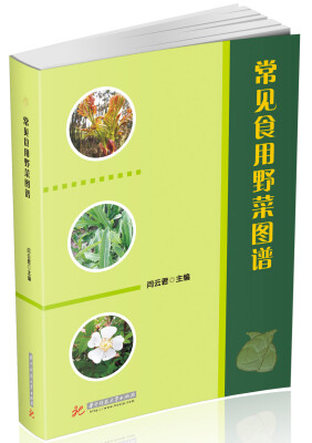 

常见食用野菜图谱