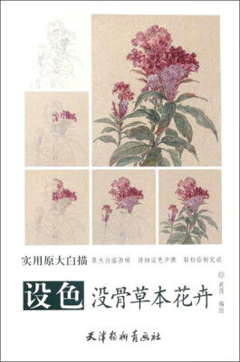 

设色没骨草本花卉