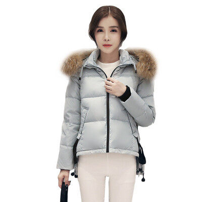 

2017 fashion new fur collar short section ladies down jacket waterproof zipper jacket