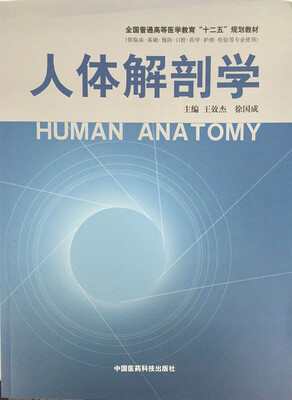 

人体解剖学/全国普通高等医学教育“十二五”规划教材