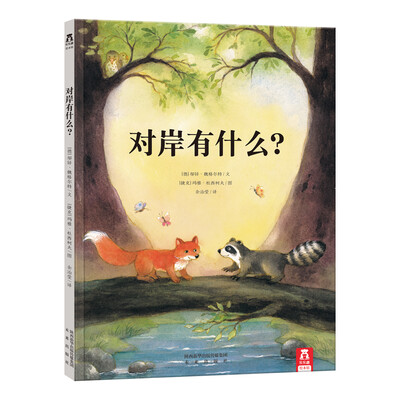 

对岸有什么？