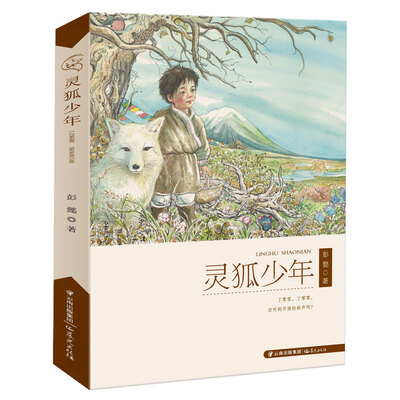 

灵狐少年