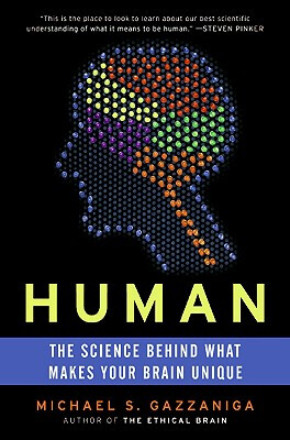 

Human