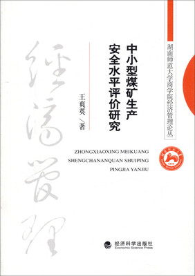 

中小型煤矿生产安全水平评价研究