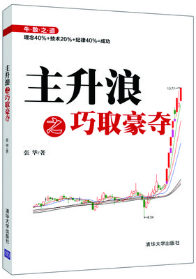 

主升浪之巧取豪夺