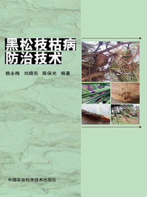 

黑松枝枯病防治技术