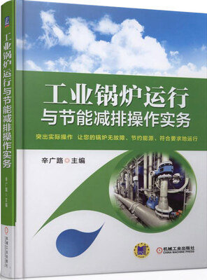 

工业锅炉运行与节能减排操作实务