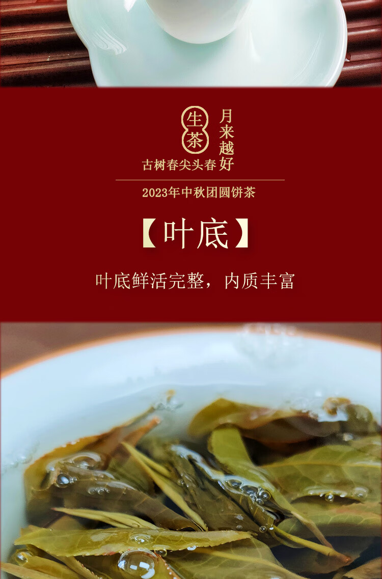 16，趣普2019年月來越好中鞦節茶禮古樹春尖純料春茶普洱茶生茶357g禮盒裝 357g單餅+知書茶禮盒（金色）