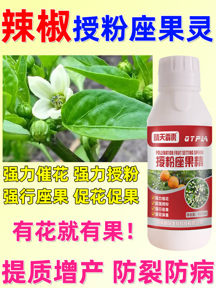 辣椒授粉坐果精座果灵促花促果增产增质授粉坐果座果蔬菜瓜果朝天椒瓜果蔬菜授粉坐果精 授粉座果精500克/1瓶详情图片1